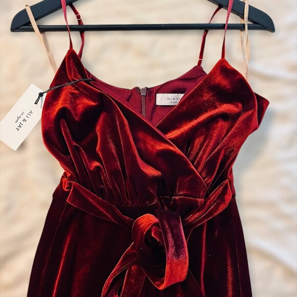 Ali & Jay Red Velvet Dress (NEW) - Picture 4 of 5